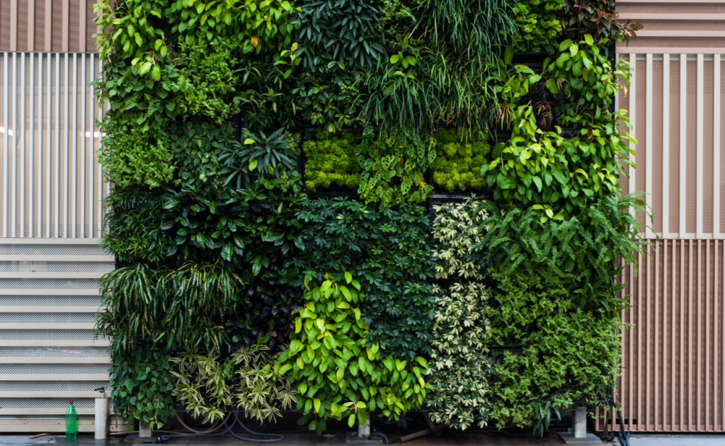 Dicas para criar um jardim vertical em sua casa